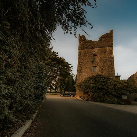 Killiane Castle Country House & Farm Drinagh Exterior foto