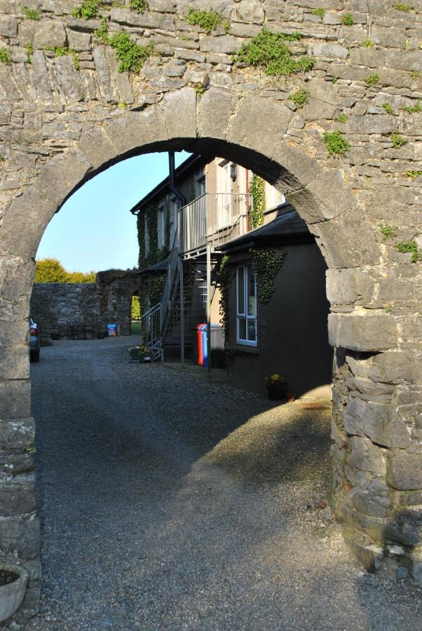 Killiane Castle Country House & Farm Drinagh Exterior foto