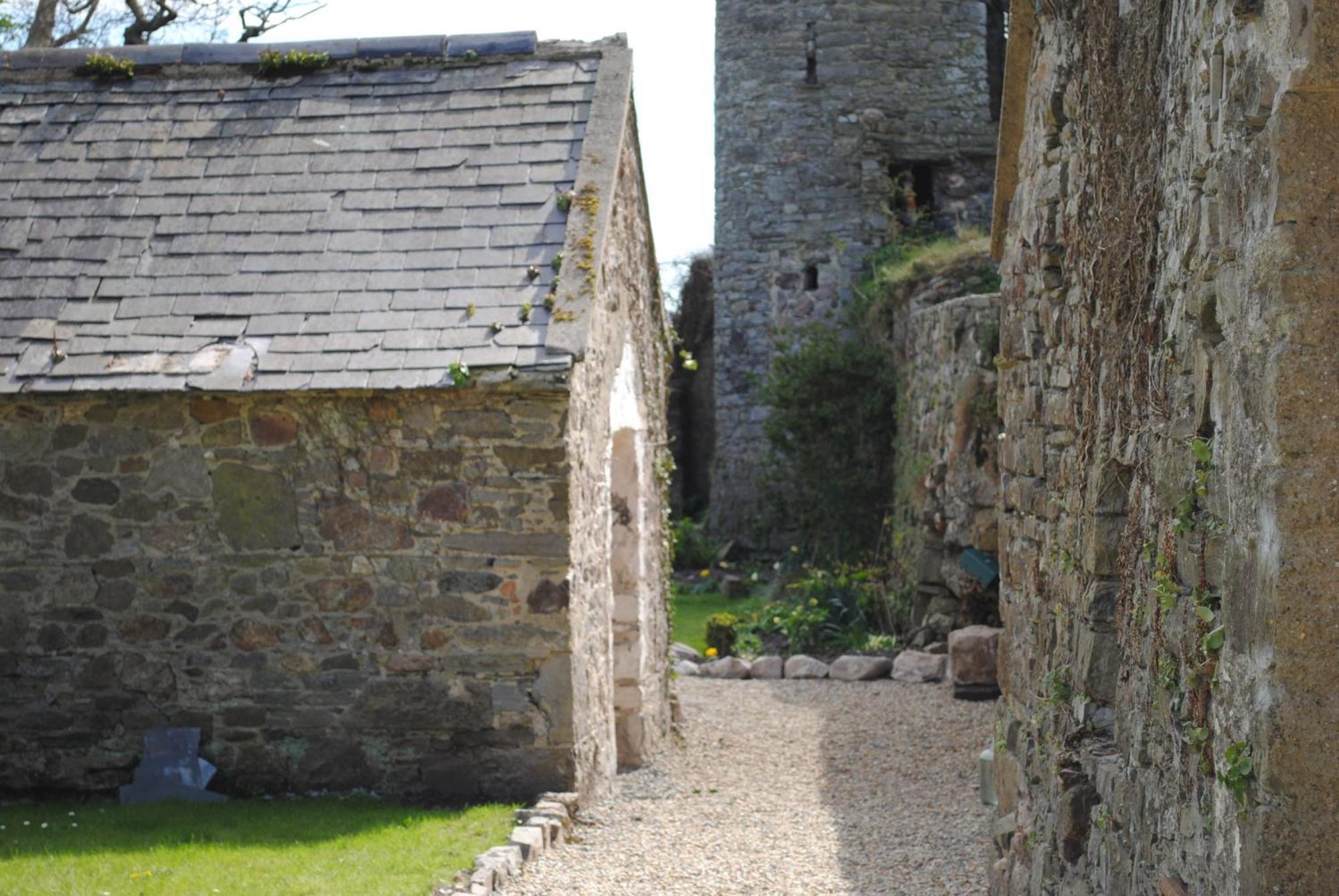 Killiane Castle Country House & Farm Drinagh Exterior foto