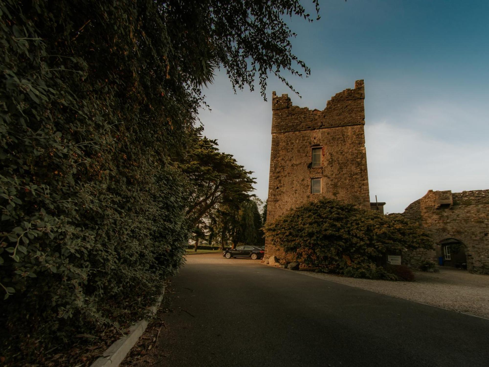 Killiane Castle Country House & Farm Drinagh Exterior foto