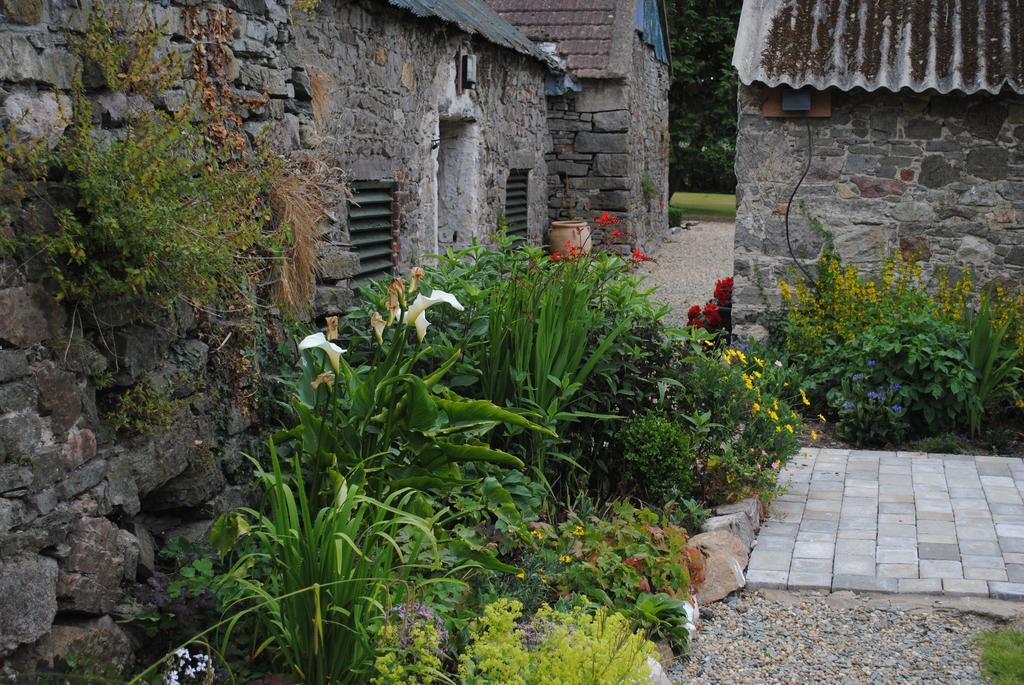 Killiane Castle Country House & Farm Drinagh Exterior foto